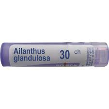 AILANTHUS GLANDULOSA GRANULKI 30CH 4G